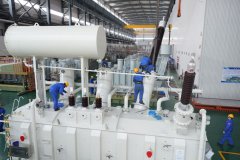 起步平稳 外贸韧性凸显